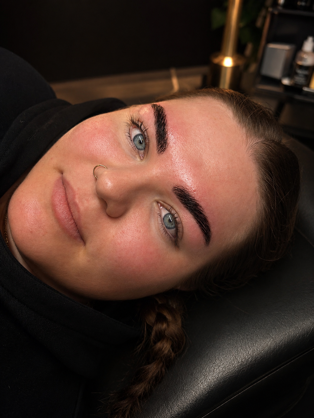 Eyebrow Mastery Ebook Only