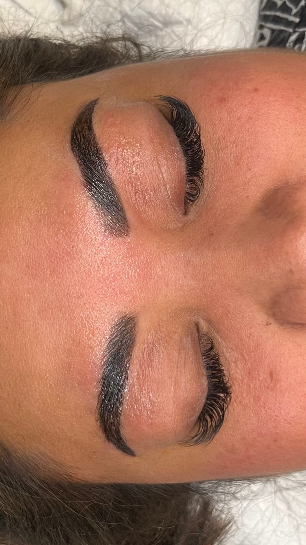 Eyebrow Mastery Ebook Only