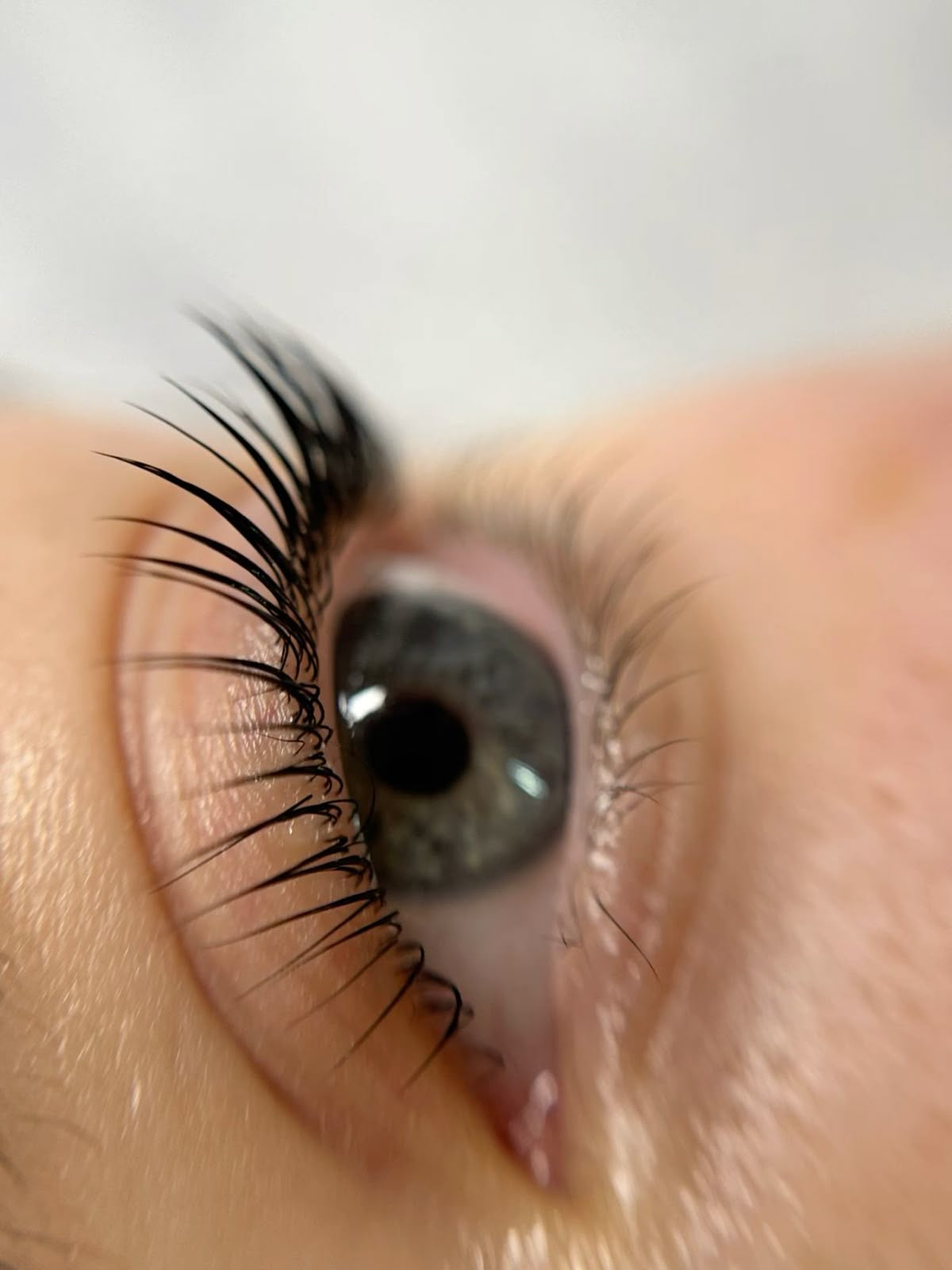Eyelash Lift Mastery Ebook Only